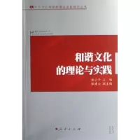 音像和谐文化的理论与实践主编