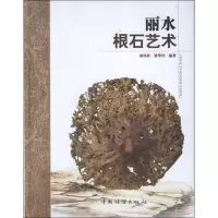 音像丽水根石艺术孙伟祥 等