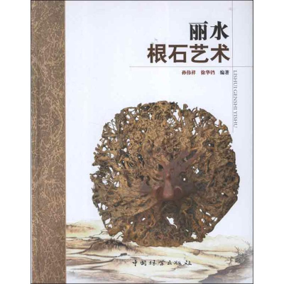 音像丽水根石艺术孙伟祥 等