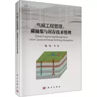 音像气候工程管理:碳捕集与封存技术管理魏一鸣