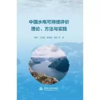 音像中国水电可持续评价理论、方法与实践隋欣,王东胜,杨宝银