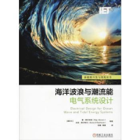 音像海洋波浪与潮流能电气系统设计雷.阿尔科姆