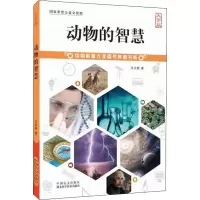 音像动物的智慧 大字版王义烔