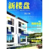 音像新楼盘:30:图解地产与设计:海南名盘龙志伟主编