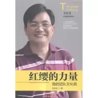 音像红缨的力量:我的团队文化观王红兵著