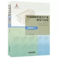 音像中国战略新兴产业研究与发展(数据中心)编者:吕天文