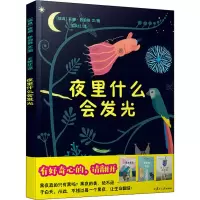 音像夜里什么会发光(瑞典)莉娜·舒伯格
