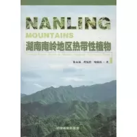 音像湖南南岭地区热带植物喻勋林