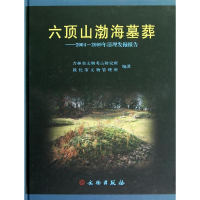 音像六顶山渤海墓葬/2004-2009年清理发掘报告王洪峰