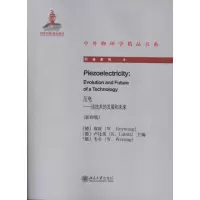 音像压电:该技术的发展和未来()(德)埃旺