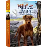 音像流亡之路(英)艾琳·亨特