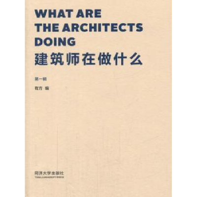 音像建筑师在做什么:辑有方编