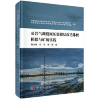 音像页岩气藏缝网压裂储层改造体积模拟与矿场实践赵金洲