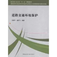 音像道路交通环境保护王晓宁,盛洪飞