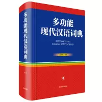 音像多功能现代汉语词典中国