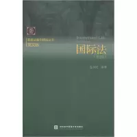 音像国际法(第2版)边永民
