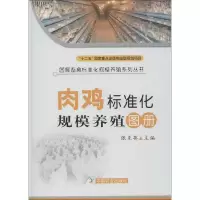音像肉鸡标准化规模养殖图册张克英 编