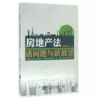音像房地产法诸问题与新展望洁 著