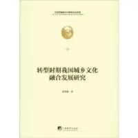 音像转型时期我国城乡文化融合发展研究龙秀雄著