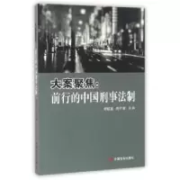 音像大案聚焦:前行的中国刑事法制时延安,刘计划主编