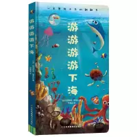音像游游游游下海(法)马克西姆·勒布伦