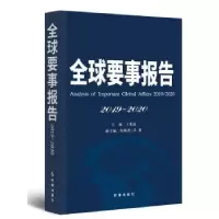 音像全球要事报告:2019-2020:2019-2020王宪磊主编
