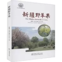 音像新疆野苹果阎国荣,许正,龙鸿 等