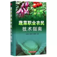 音像蔬菜职业农民技术指南(精)编者:金明弟//路凤琴//李惠明