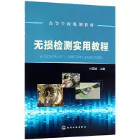 音像无损检测实用教程(高等学校规划教材)编者:付亚波