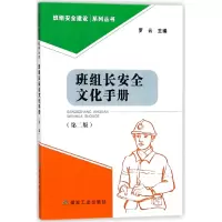 音像班组长安全文化手册(第2版)/班组安全建设系列丛书编者:罗云