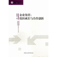 音像企业集群:组织成长与合作创新娄朝晖著