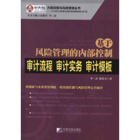 音像基于风险管理的内部控制审计流程·审计实务·审计模板李三喜