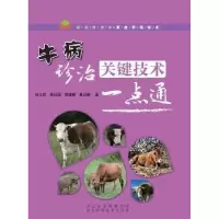 音像牛病诊治关键技术一点通石玉祥,米同国,李连缺,黄占欣