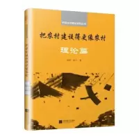 音像把农村建设得更像农村:理论篇孙君,徐宁著