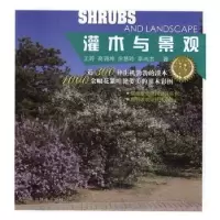音像灌木与景观王婷[等]著