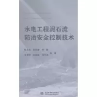 音像水电工程泥石流防治安全控制技术陈卫东,彭仕雄,付峥 等