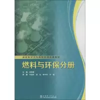 音像超超临界火电机组培训系列教材.燃料与环保分册徐宏建 编