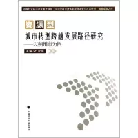 音像资源型城市转型跨越发展路径研究:以朔州市为例石亚军