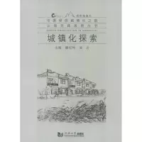 音像城镇化探索潘培坤 等编