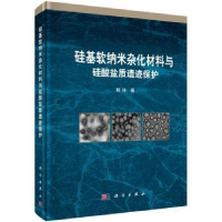 音像硅基软纳米杂化材料与硅酸盐质遗迹保护和玲