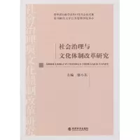 音像社会治理与文化体制改革研究廖小东 编