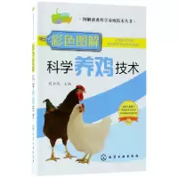 音像彩色图解科学养鸡技术/图解畜禽科学养殖技术丛书编者:提金凤