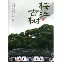 音像梅江古树李坤新[等]著