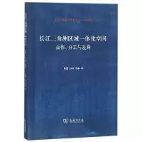 音像长江三角洲区域一体化空间(合作分工与差异)陈雯//孙伟//袁丰