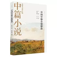 音像2021中国中篇小说精选金理