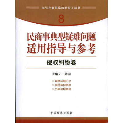 音像侵权纠纷卷王洪萍 编