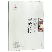 音像青野村/山东村落田野研究丛书孔军|总主编:张士闪//李松