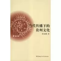 音像当代传播下的贵州文化段丽娜著