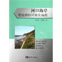 音像河口海岸数值模拟可视化编程罗小峰,王登婷