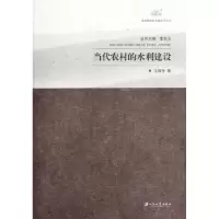 音像当代农村的水利建设王瑞芳著